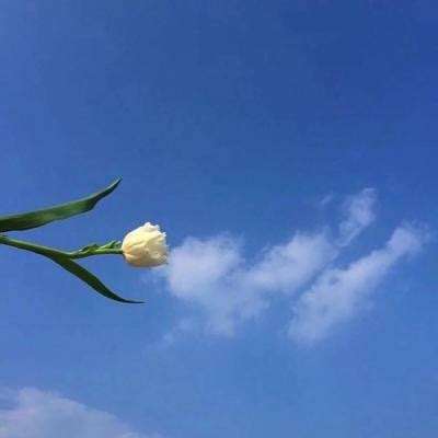 云之国游戏下载