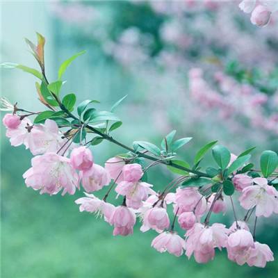 破坏神降临手游(暂未上线)v1.3.27 安卓版