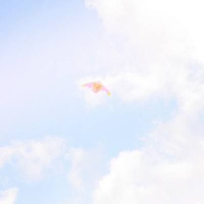 勇者与探险测试版下载